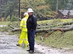 Storm damage fallen trees